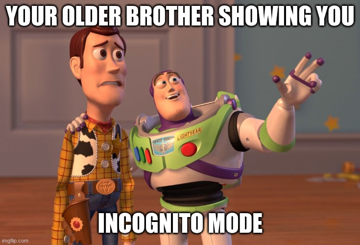 X, X Everywhere | YOUR OLDER BROTHER SHOWING YOU; INCOGNITO MODE | image tagged in memes,x x everywhere | made w/ Imgflip meme maker