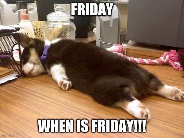 Tired dog | FRIDAY; WHEN IS FRIDAY!!! | image tagged in tired dog | made w/ Imgflip meme maker