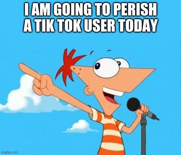 me when i see a tik tok user(in fact i'm going to do this right now) | I AM GOING TO PERISH A TIK TOK USER TODAY | image tagged in phineas and ferb | made w/ Imgflip meme maker