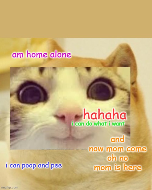 mom is not home she come | am home alone; hahaha; i can do what i want; and now mom come oh no mom is here; i can poop and pee | image tagged in memes,doge | made w/ Imgflip meme maker