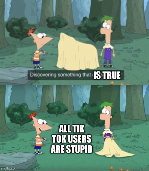 Discovering Something That Doesn’t Exist | IS TRUE; ALL TIK TOK USERS ARE STUPID | image tagged in discovering something that doesn t exist | made w/ Imgflip meme maker