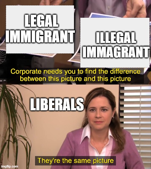 bruh... | LEGAL IMMIGRANT; ILLEGAL IMMAGRANT; LIBERALS | image tagged in there the same picture | made w/ Imgflip meme maker