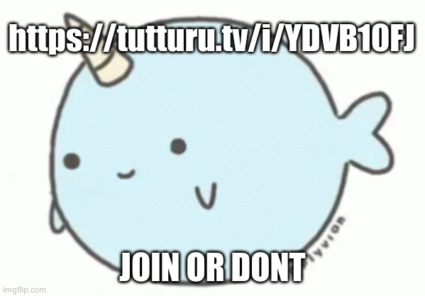 *cries in horny* we were gonna watch po- but it was blocked | https://tutturu.tv/i/YDVB10FJ; JOIN OR DONT | image tagged in narwhal | made w/ Imgflip meme maker