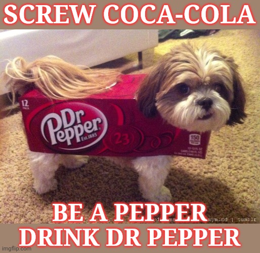 Wouldn't you like to be a pepper, too? | SCREW COCA-COLA; BE A PEPPER
DRINK DR PEPPER | image tagged in dr pepper costume,screw coca cola,dog,memes,be a pepper | made w/ Imgflip meme maker