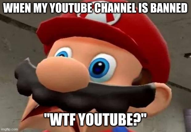 Mario WTF | WHEN MY YOUTUBE CHANNEL IS BANNED; "WTF YOUTUBE?" | image tagged in mario wtf | made w/ Imgflip meme maker