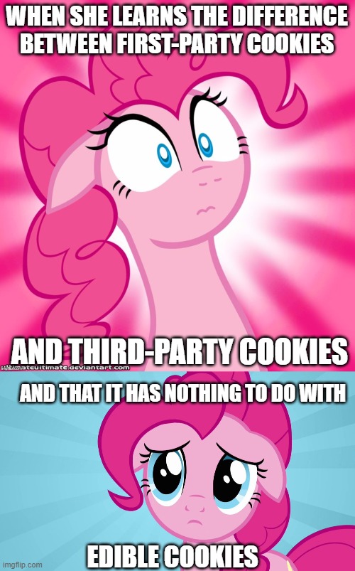 Pinkie Pie Learns About Technology | WHEN SHE LEARNS THE DIFFERENCE BETWEEN FIRST-PARTY COOKIES; AND THIRD-PARTY COOKIES; AND THAT IT HAS NOTHING TO DO WITH; EDIBLE COOKIES | image tagged in shocked pinkie pie,pinkie pie sad face,cookies,funny | made w/ Imgflip meme maker
