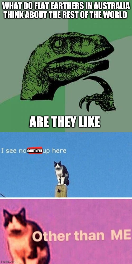 WHAT DO FLAT EARTHERS IN AUSTRALIA THINK ABOUT THE REST OF THE WORLD; ARE THEY LIKE; CONTINENT | image tagged in memes,philosoraptor,hail pole cat | made w/ Imgflip meme maker