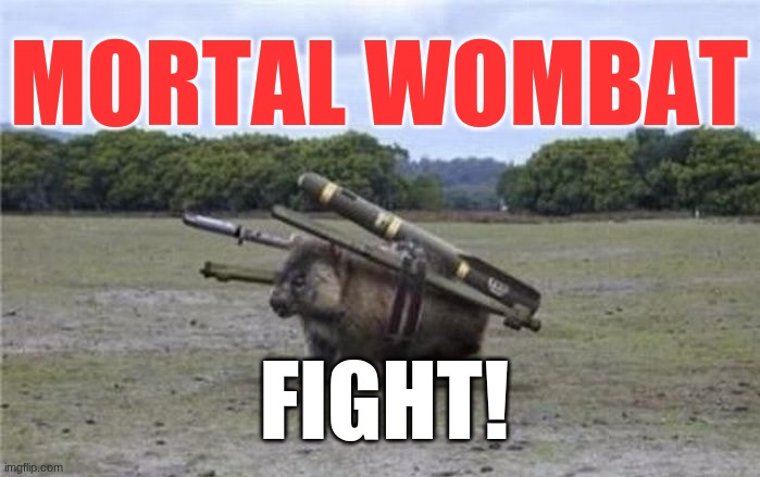 Mortal Combat But Wombats | MORTAL WOMBAT; FIGHT! | image tagged in combat wombat,mortal kombat | made w/ Imgflip meme maker
