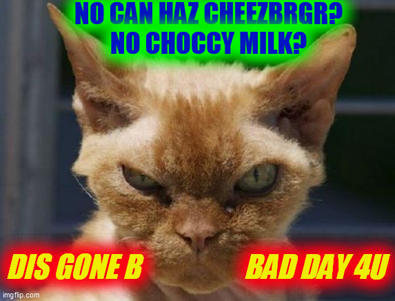 Mad Cat | NO CAN HAZ CHEEZBRGR?
NO CHOCCY MILK? DIS GONE B                   BAD DAY 4U | image tagged in mad cat | made w/ Imgflip meme maker