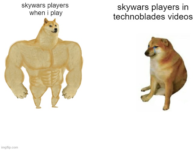 or maybe im just bad....... p o s s i b l y | skywars players 
when i play; skywars players in
technoblades videos | image tagged in memes,buff doge vs cheems | made w/ Imgflip meme maker