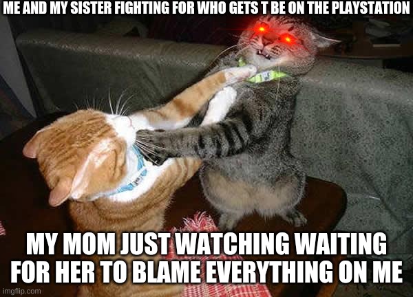 Two cats fighting for real | ME AND MY SISTER FIGHTING FOR WHO GETS T BE ON THE PLAYSTATION; MY MOM JUST WATCHING WAITING FOR HER TO BLAME EVERYTHING ON ME | image tagged in two cats fighting for real | made w/ Imgflip meme maker