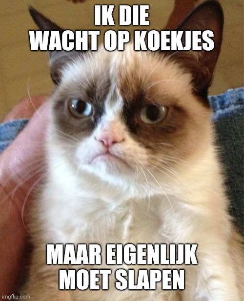 Grumpy Cat Meme | IK DIE WACHT OP KOEKJES; MAAR EIGENLIJK MOET SLAPEN | image tagged in memes,grumpy cat | made w/ Imgflip meme maker