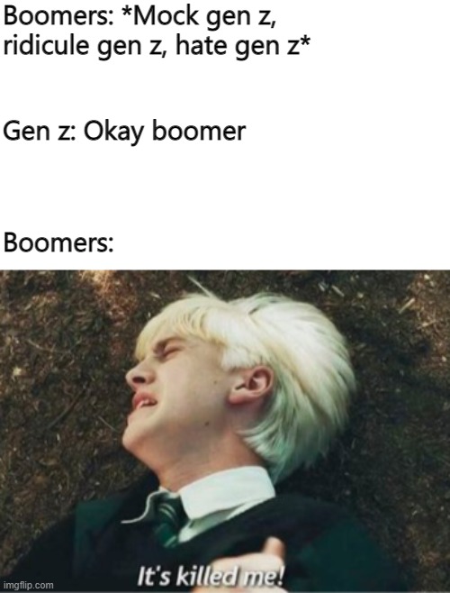 Chill | Boomers: *Mock gen z, ridicule gen z, hate gen z*; Gen z: Okay boomer; Boomers: | image tagged in ok boomer,lol,funny,memes,boomer | made w/ Imgflip meme maker