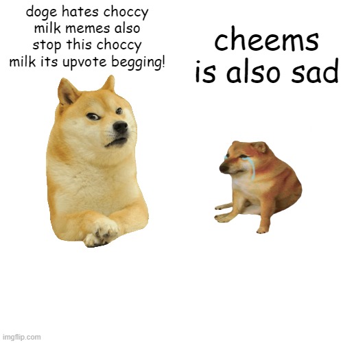 cheems and doge hate when you upvote beg their watching you sleep | cheems is also sad; doge hates choccy milk memes also stop this choccy milk its upvote begging! | image tagged in memes,blank transparent square | made w/ Imgflip meme maker