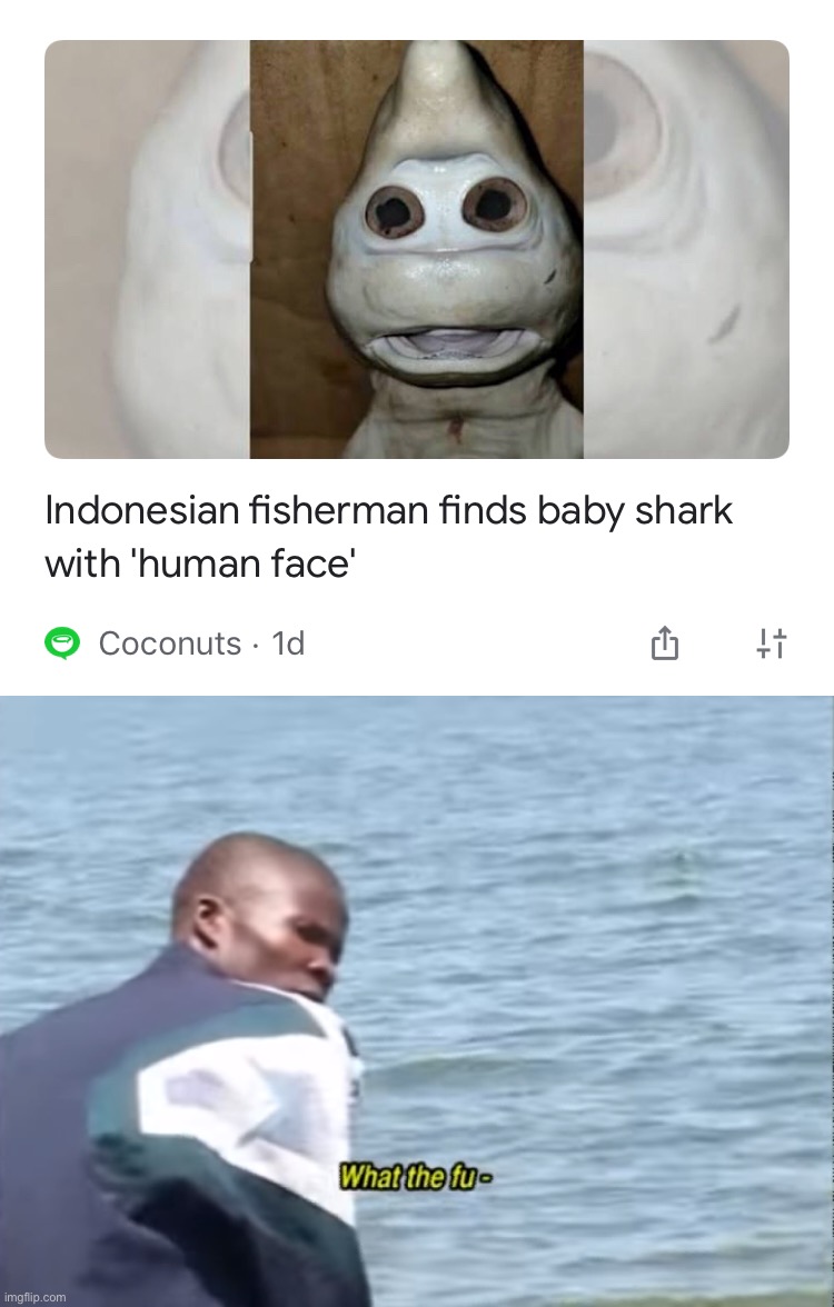 Yeah this is the baby shark that you see on the song | image tagged in what the fu- | made w/ Imgflip meme maker