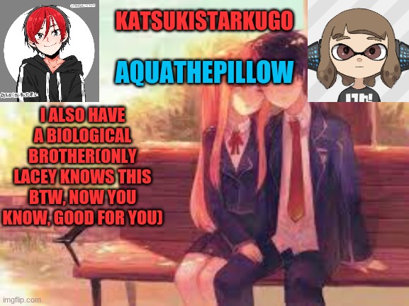 KatsukiStarkugoXAquathepillow | I ALSO HAVE A BIOLOGICAL BROTHER(ONLY LACEY KNOWS THIS BTW, NOW YOU KNOW, GOOD FOR YOU) | image tagged in katsukistarkugoxaquathepillow | made w/ Imgflip meme maker