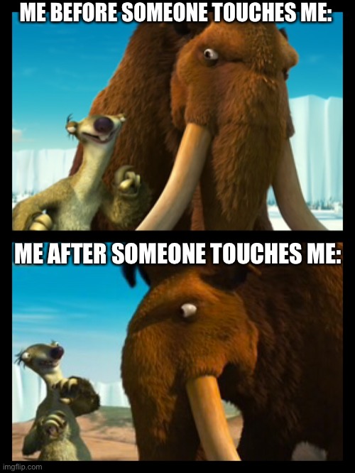 My reaction to being touched without consent | ME BEFORE SOMEONE TOUCHES ME:; ME AFTER SOMEONE TOUCHES ME: | image tagged in funny | made w/ Imgflip meme maker