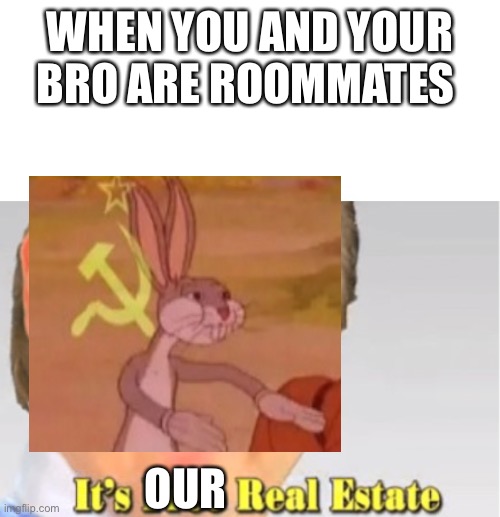 WHEN YOU AND YOUR BRO ARE ROOMMATES; OUR | image tagged in its free real estate,funny | made w/ Imgflip meme maker