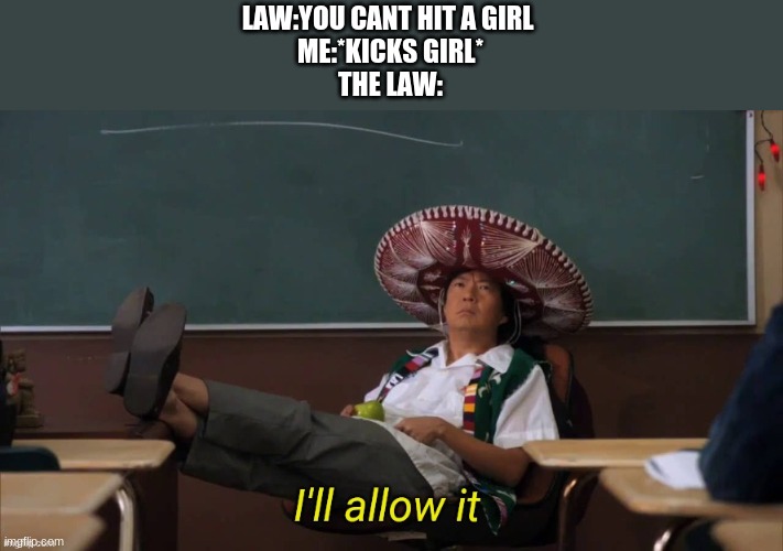 I'll allow it | LAW:YOU CANT HIT A GIRL 
ME:*KICKS GIRL*
THE LAW: | image tagged in i'll allow it | made w/ Imgflip meme maker