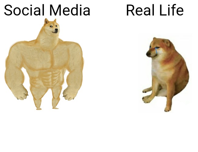 Hmm | Social Media; Real Life | image tagged in memes,buff doge vs cheems | made w/ Imgflip meme maker