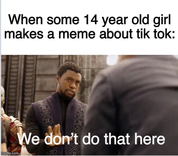 We don't do that here | When some 14 year old girl makes a meme about tik tok:; We don’t do that here | image tagged in we don't do that here | made w/ Imgflip meme maker