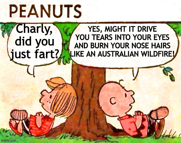 Burn! | YES, MIGHT IT DRIVE YOU TEARS INTO YOUR EYES AND BURN YOUR NOSE HAIRS LIKE AN AUSTRALIAN WILDFIRE! Charly, did you just fart? | image tagged in peanuts charlie brown peppermint patty | made w/ Imgflip meme maker