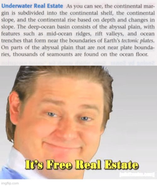 Its free(slightly wet) real estate | image tagged in it's free real estate | made w/ Imgflip meme maker