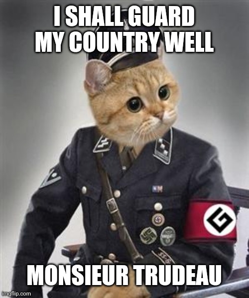 Grammar Nazi Cat | I SHALL GUARD MY COUNTRY WELL; MONSIEUR TRUDEAU | image tagged in grammar nazi cat | made w/ Imgflip meme maker