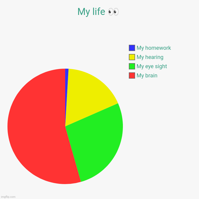 My life ? | My brain, My eye sight, My hearing, My homework | image tagged in charts,pie charts | made w/ Imgflip chart maker