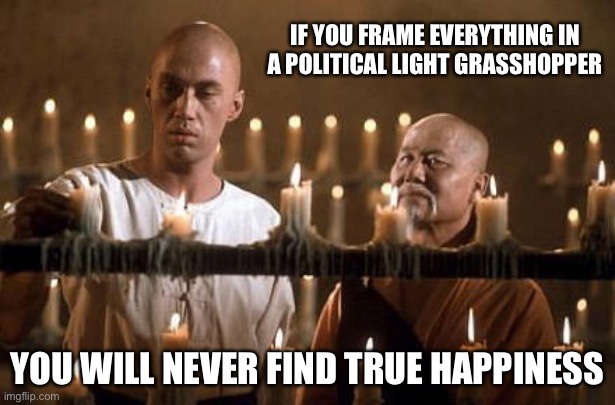 Politics | IF YOU FRAME EVERYTHING IN A POLITICAL LIGHT GRASSHOPPER; YOU WILL NEVER FIND TRUE HAPPINESS | image tagged in kung fu grasshopper,politics,political meme | made w/ Imgflip meme maker
