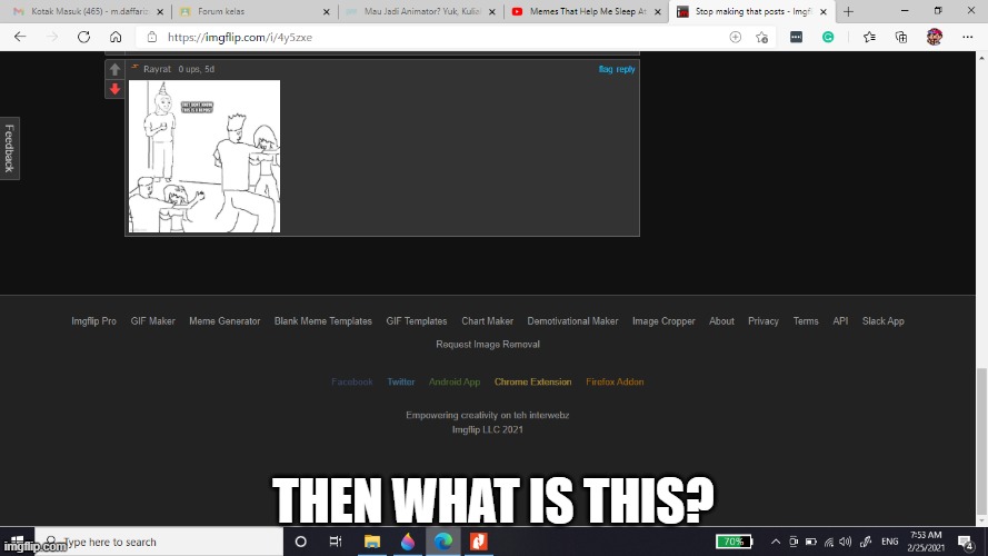 THEN WHAT IS THIS? | made w/ Imgflip meme maker