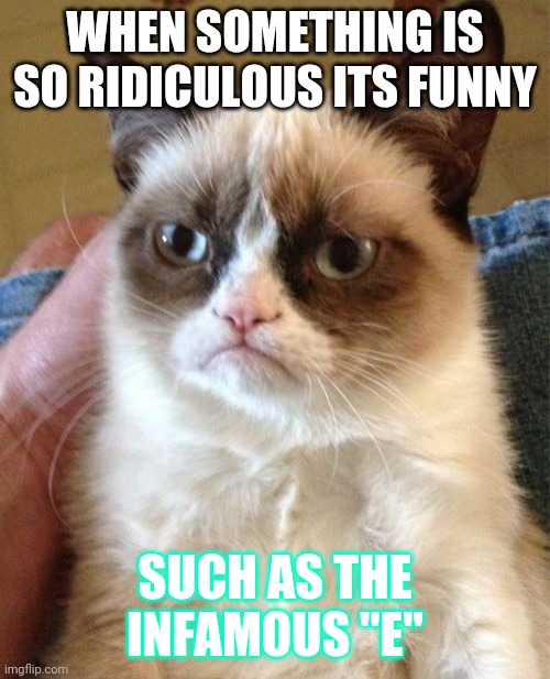 Me. Literally me. | WHEN SOMETHING IS SO RIDICULOUS ITS FUNNY; SUCH AS THE INFAMOUS "E" | image tagged in memes,grumpy cat | made w/ Imgflip meme maker