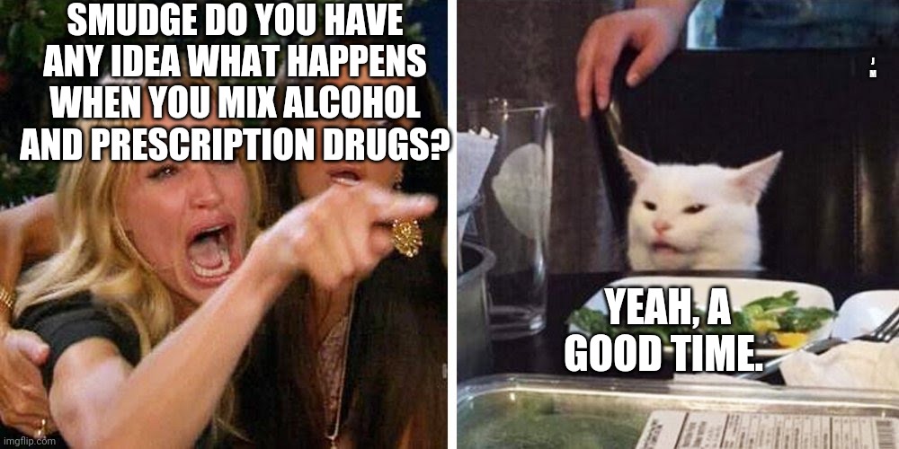 Smudge the cat | SMUDGE DO YOU HAVE ANY IDEA WHAT HAPPENS WHEN YOU MIX ALCOHOL AND PRESCRIPTION DRUGS? J M; YEAH, A GOOD TIME. | image tagged in smudge the cat | made w/ Imgflip meme maker
