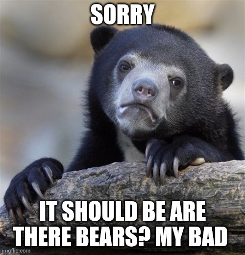Confession Bear Meme | SORRY IT SHOULD BE ARE THERE BEARS? MY BAD | image tagged in memes,confession bear | made w/ Imgflip meme maker