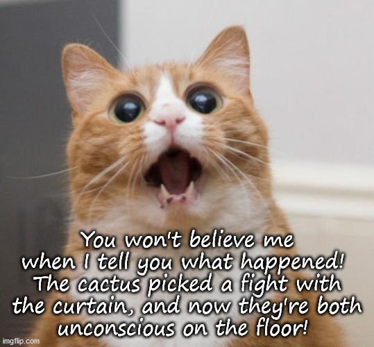 you wouldn't believe | You won't believe me
when I tell you what happened! 
The cactus picked a fight with
the curtain, and now they're both
unconscious on the floor! | image tagged in cat,funny memes | made w/ Imgflip meme maker