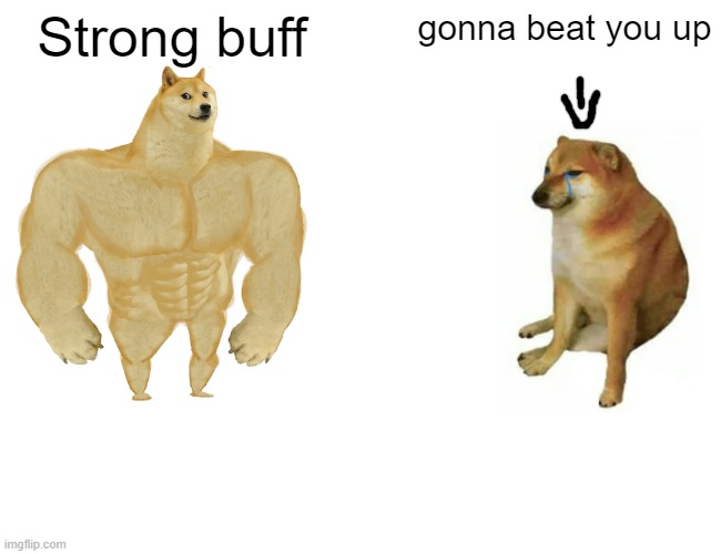 Strong buff | Strong buff; gonna beat you up | image tagged in memes,buff doge vs cheems | made w/ Imgflip meme maker