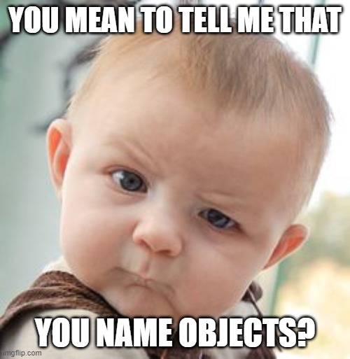 Skeptical Baby Meme | YOU MEAN TO TELL ME THAT; YOU NAME OBJECTS? | image tagged in memes,skeptical baby | made w/ Imgflip meme maker