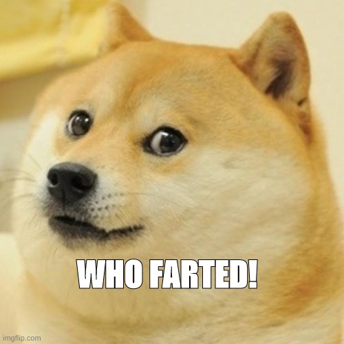 Doge | WHO FARTED! | image tagged in memes,doge | made w/ Imgflip meme maker