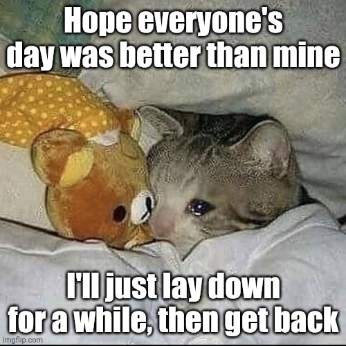 Crying cat in bed | Hope everyone's day was better than mine; I'll just lay down for a while, then get back | image tagged in crying cat in bed | made w/ Imgflip meme maker