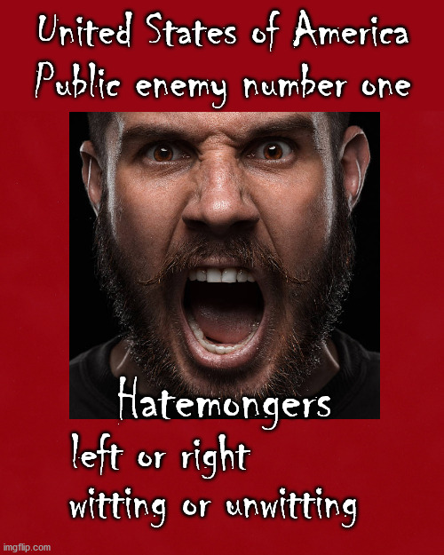 public enemy number one | United States of America
Public enemy number one; Hatemongers; left or right; witting or unwitting | image tagged in politics | made w/ Imgflip meme maker