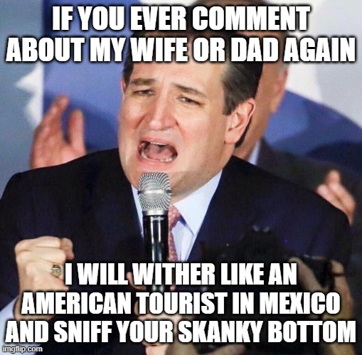 Ted Cruz Singing | IF YOU EVER COMMENT ABOUT MY WIFE OR DAD AGAIN I WILL WITHER LIKE AN AMERICAN TOURIST IN MEXICO AND SNIFF YOUR SKANKY BOTTOM | image tagged in ted cruz singing | made w/ Imgflip meme maker