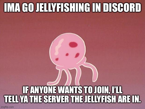 Jellyfish | IMA GO JELLYFISHING IN DISCORD; IF ANYONE WANTS TO JOIN, I’LL TELL YA THE SERVER THE JELLYFISH ARE IN. | image tagged in jellyfish | made w/ Imgflip meme maker