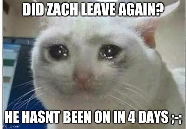 *sniffle* i thought he was gonna stay dis time ;-; | DID ZACH LEAVE AGAIN? HE HASNT BEEN ON IN 4 DAYS ;-; | image tagged in crying cat | made w/ Imgflip meme maker