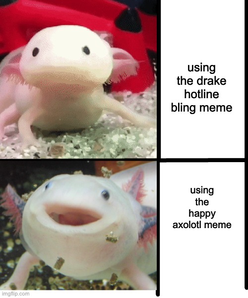 Annoyed Axolotl |  using the drake hotline bling meme; using the happy axolotl meme | image tagged in annoyed axolotl | made w/ Imgflip meme maker