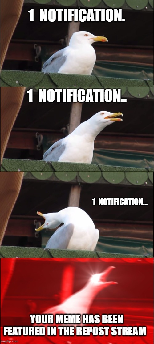 Inhaling Seagull | 1  NOTIFICATION. 1  NOTIFICATION.. 1  NOTIFICATION... YOUR MEME HAS BEEN FEATURED IN THE REPOST STREAM | image tagged in memes,inhaling seagull | made w/ Imgflip meme maker