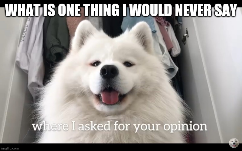 Doggo who asked | WHAT IS ONE THING I WOULD NEVER SAY | image tagged in doggo who asked | made w/ Imgflip meme maker