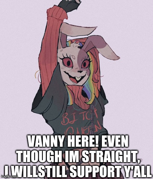 e | VANNY HERE! EVEN THOUGH IM STRAIGHT, I WILLSTILL SUPPORT Y'ALL | image tagged in memes | made w/ Imgflip meme maker