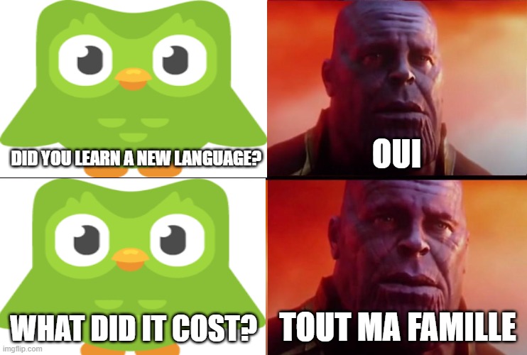 Duolingo bird meme | DID YOU LEARN A NEW LANGUAGE? OUI; WHAT DID IT COST? TOUT MA FAMILLE | image tagged in duolingo bird | made w/ Imgflip meme maker