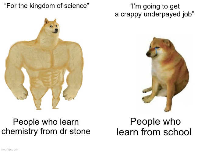 It’s a great show.  I’m actually learning a lot | “For the kingdom of science”; “I’m going to get a crappy underpayed job”; People who learn chemistry from dr stone; People who learn from school | image tagged in memes,buff doge vs cheems,anime,school,science,anime meme | made w/ Imgflip meme maker