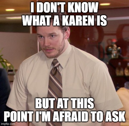 Idk what a karen is | I DON'T KNOW WHAT A KAREN IS; BUT AT THIS POINT I'M AFRAID TO ASK | image tagged in memes,afraid to ask andy | made w/ Imgflip meme maker